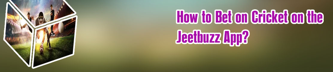 How to bet on baji bet sports in India